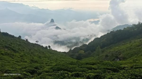Paradise Peak View Kodanadu